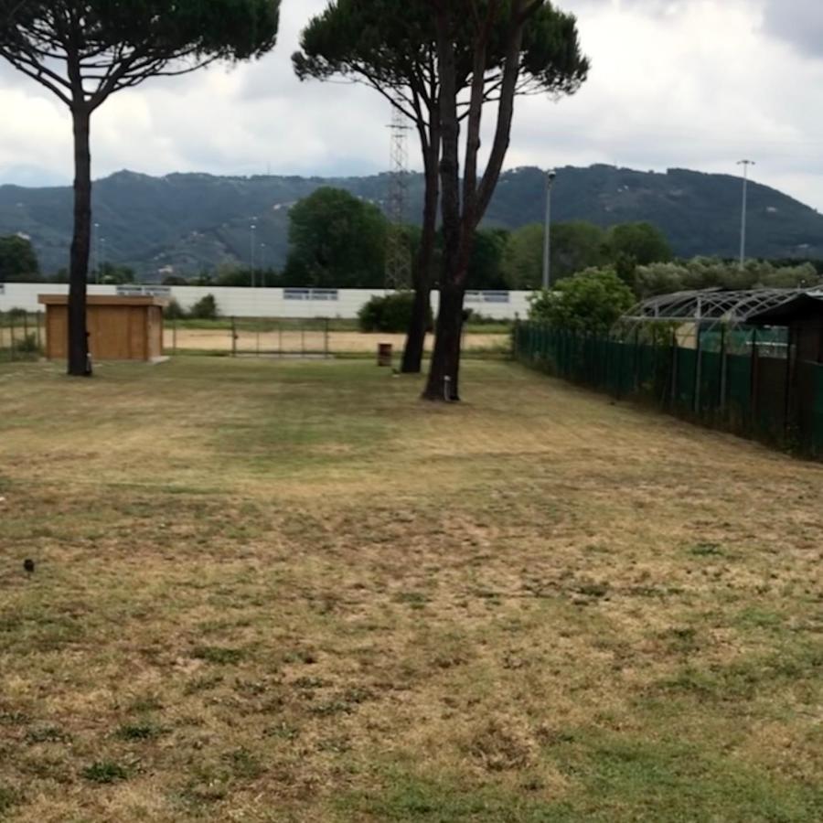 L'Alloggio Del Capitano Viareggio Kültér fotó
